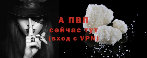 молекула духа Богданович