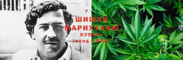 СК Бородино
