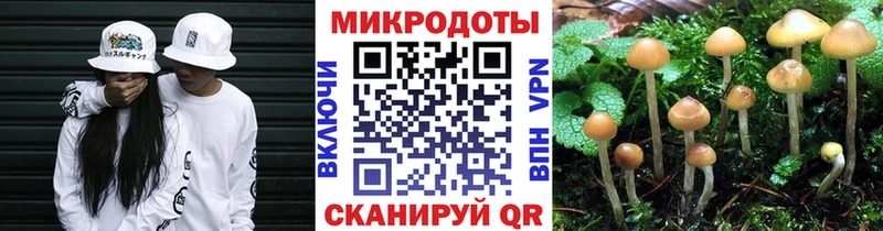 закладки  Мурманск  Галлюциногенные грибы мухоморы 